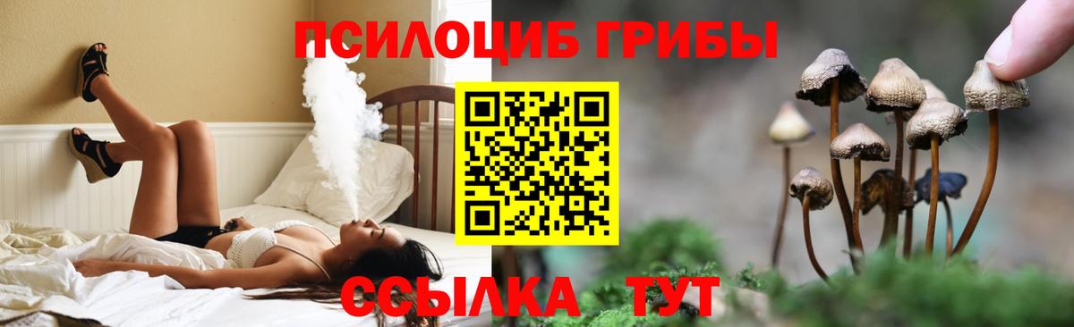 Псилоцибиновые грибы MAGIC MUSHROOMS Белебей